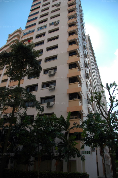 Blk 529 Jelapang Road (Bukit Panjang), HDB 4 Rooms #219122